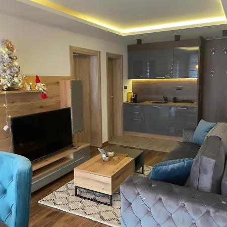 Luxury Sunny Hill Apartment