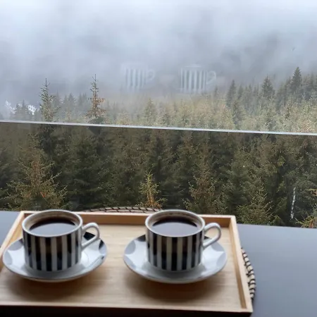 Luxury Sunny Hill Kopaonik